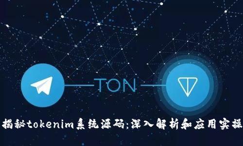 揭秘tokenim系统源码：深入解析和应用实操