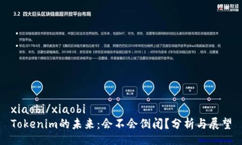 xiaobi/xiaobi
Tokenim的未来：会不会倒闭？分析与展望